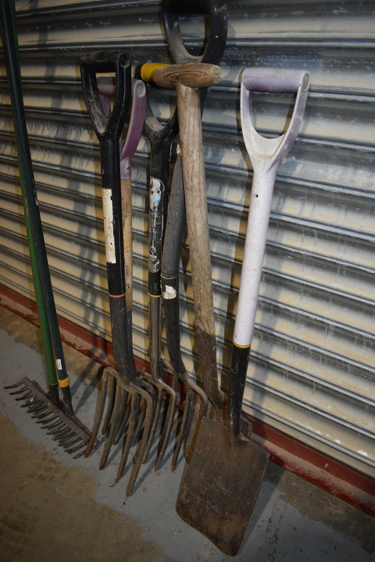 *Garden Tools Including Four Forks, Two Spades, and Two Rakes - Image 2 of 2