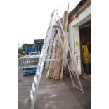 *Ten Tread Platform Ladder