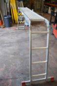 *Multipurpose Platform Ladder