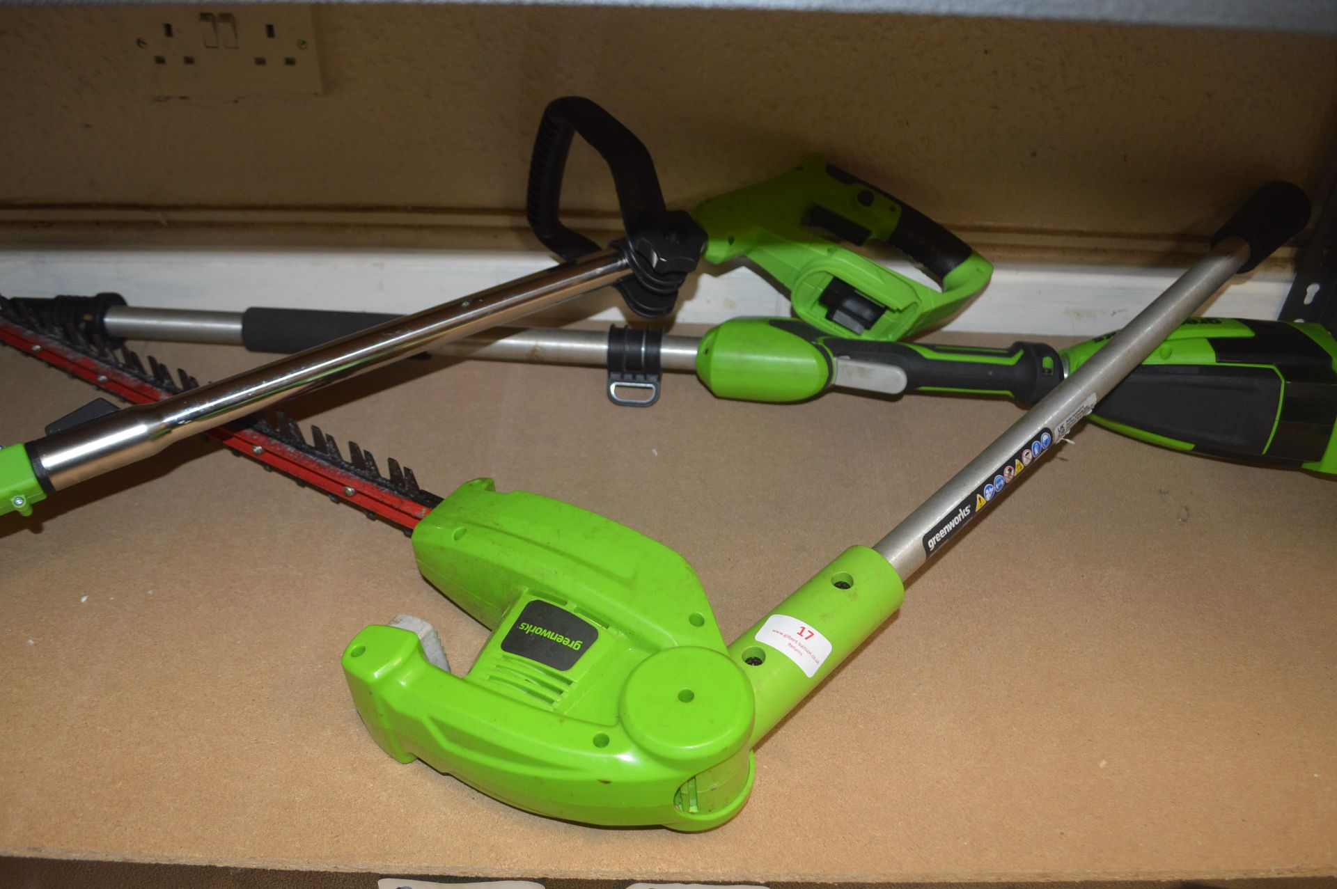 *Greenworks Strimmer, and an Extending Hedge Trimmer