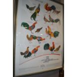 *Wild Poultry Poster