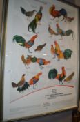 *Wild Poultry Poster