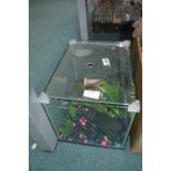 Small Fish Tank and Contents