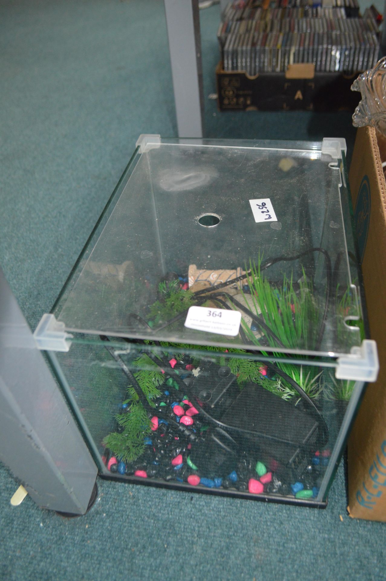 Small Fish Tank and Contents