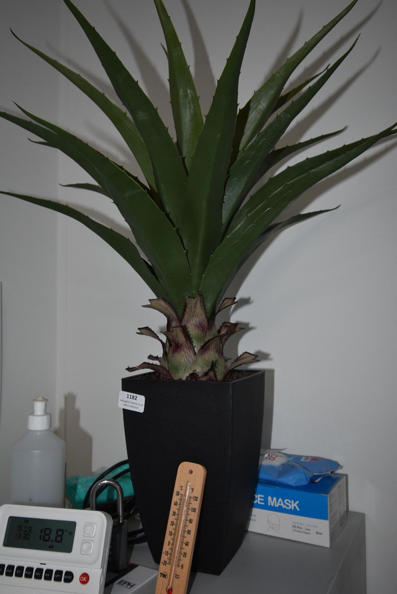 *Artificial Aloe Vera (Location: 64 King Edward St, Grimsby, DN31 3JP, Viewing Tuesday 26th,