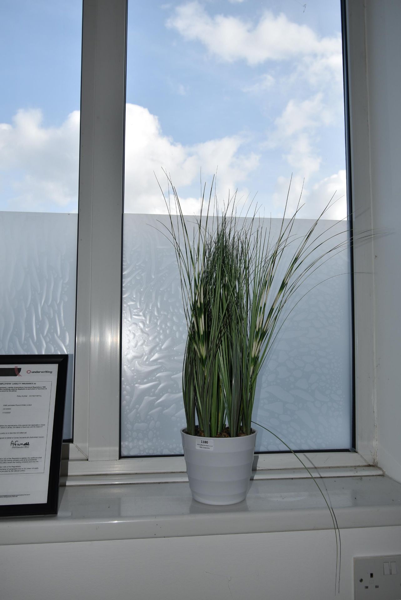 *Artificial Grass Plant (Location: 64 King Edward St, Grimsby, DN31 3JP, Viewing Tuesday 26th,