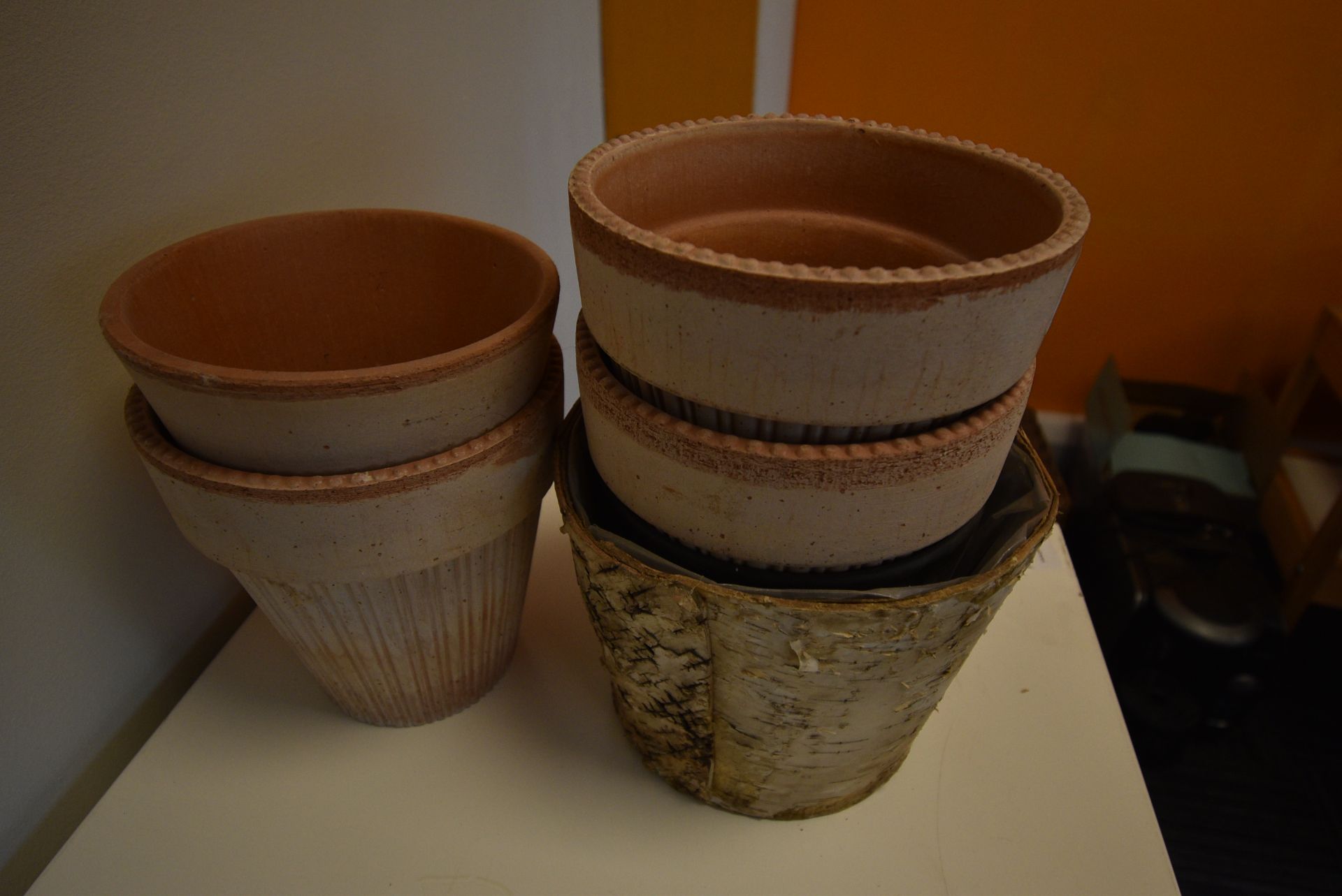 *Four Decorative Terracotta Plant Pots and Silver Birch Planter