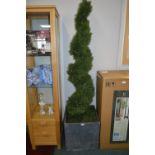 *6ft Cedar Spiral Topiary