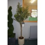 *Lifeline 6ft Faux Olive Tree