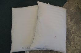 *Two Hotel Grand Feather & Down Pillows