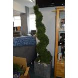 *6ft Cedar Spiral Topiary