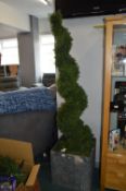 *6ft Cedar Spiral Topiary