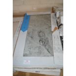 *Two Packs of Six 30x60cm Tiles