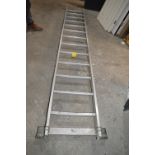Thirteen Rung Ladder with Stabiliser Foot