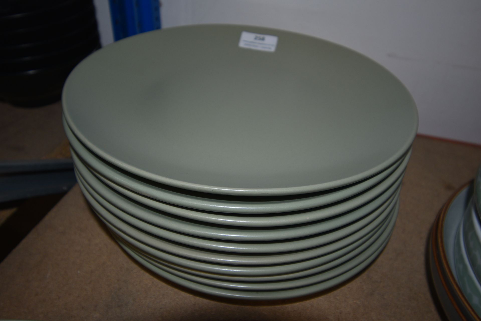 Ten Dunelm Stoneware Plates