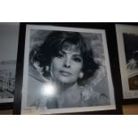 Sophia Loren Framed Photo