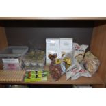 Contents of Shelf to Include Salted Nuts, Dried Mushrooms, Wasabi Paste, etc.