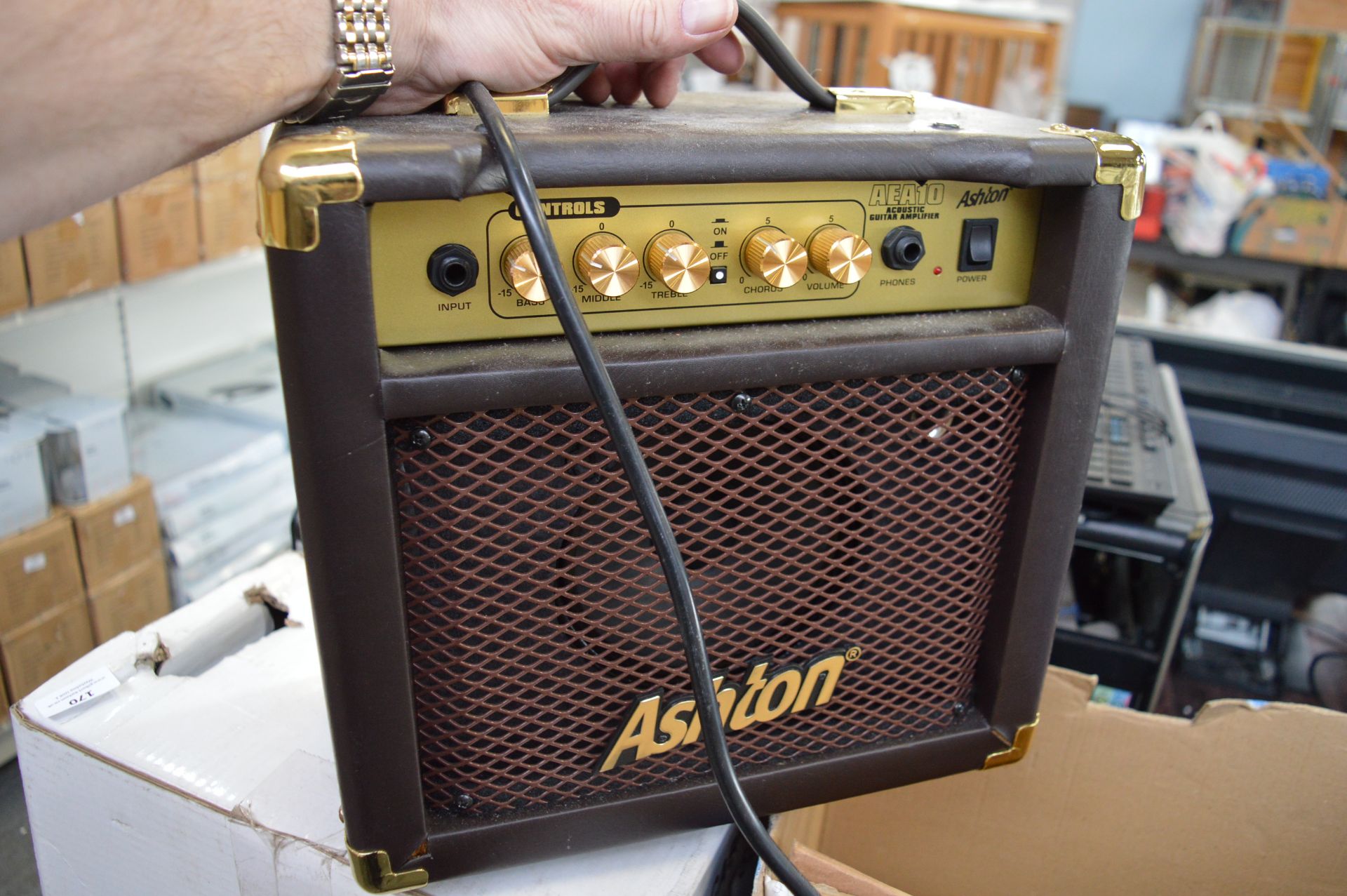 Ashton Acoustic Guitar Amplifier Model: AEA10