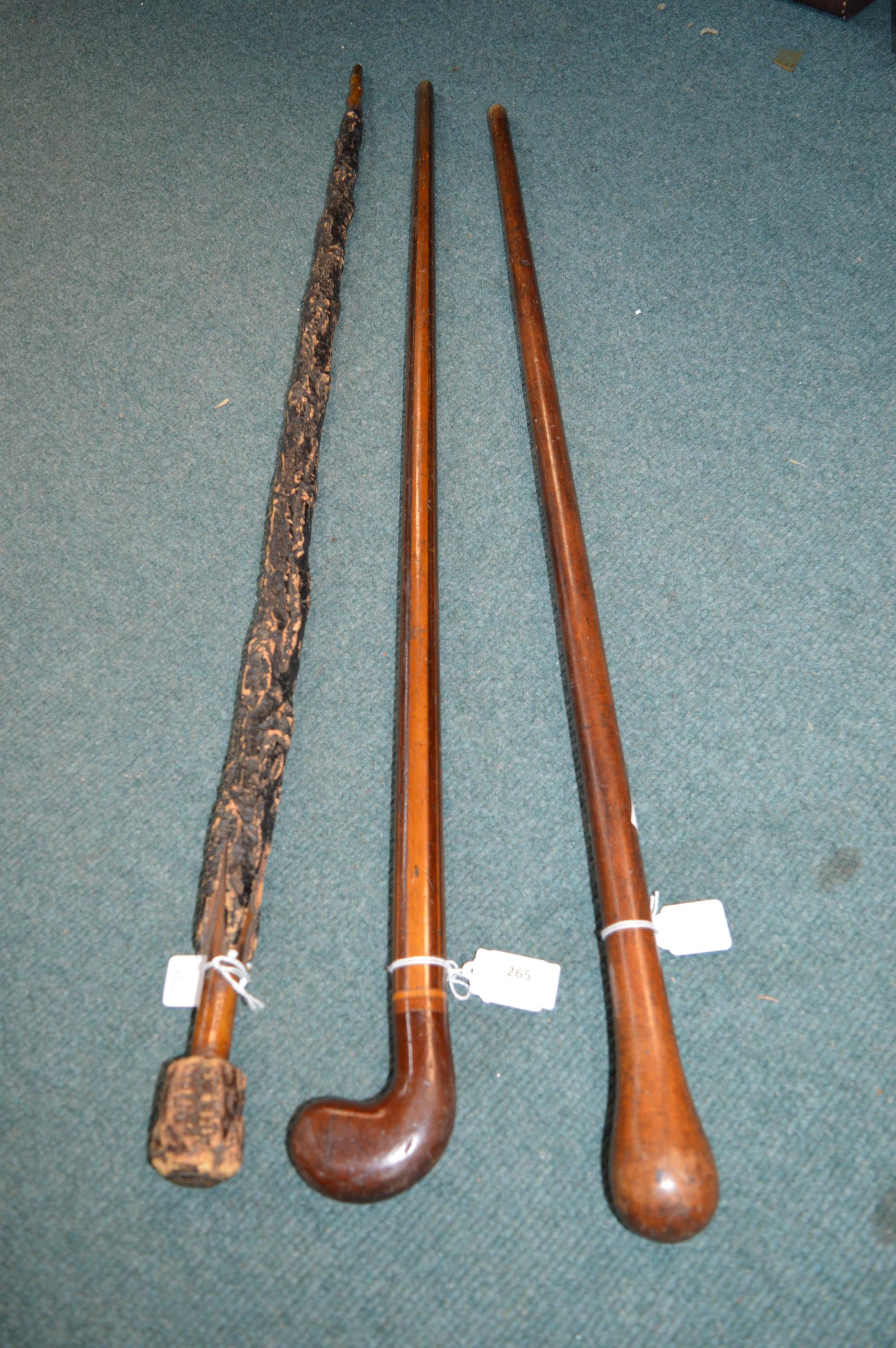 Sunday Stick and Two Walking Sticks