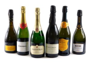 Six bottles of sparkling wine, to include South Africa, Australia, Italy, Spain.