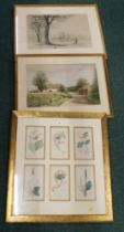 Pictures and prints, comprising six sectional framed floral book plates, after JB Macey Cottage Nebs