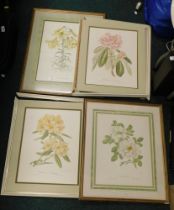 A quantity of pictures and prints, floral book plates, etc. (AF)