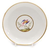 An early 19thC Crown Derby porcelain ornithological plate, possibly painted by Robert Brewer, with a