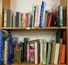 Books, mainly children's. (2 shelves)