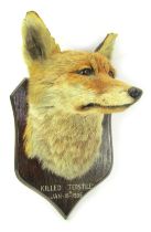 Taxidermy. A fox's head, mounted on an oak shield plaque, by W. Shelbrooke, taxidermist 8-furrier, B