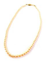 A cultured pearl necklace, of graduated design, on yellow metal clasp, unmarked, 44cm long, 17.2g al