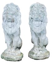 A pair reconstituted lions, 62cm high.