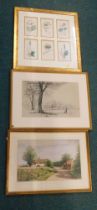 Pictures and prints, comprising six sectional framed floral book plates, after JB Macey Cottage Nebs