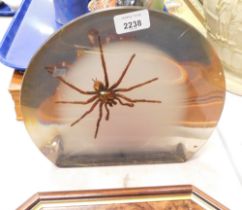 A tarantula Perspex paperweight.