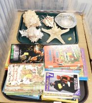 Books, including children's Enid Blyton, etc. and a small selection of sea shells.