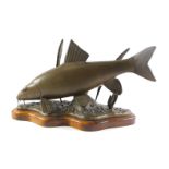 David Hughes. Carp, bronzed resin, on a wooden base, stamped L/E 25NO 12, 56cm wide.