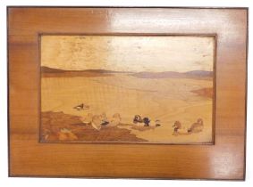 A 20thC marquetry picture of ducks swimming in a river or lake, within walnut frame, 46cm x 64cm.