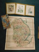 A set of three 19thC fruit prints and a facsimile map of Lincolnshire after Charles Smith c1600.