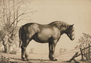 William Evan Charles Morgan (1903-?). Vivandiere Champion Mare, Royal Agricultural Society Show Manc