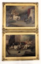 George Armfield (1808-1893). Terriers and mouse, oil on canvas - pair, signed, 29.5cm x 39.5cm.