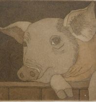 Bill Yardley (1940-2012). Porker, artist signed and titled etching 18/30, 12.5cm x 12.5cm.