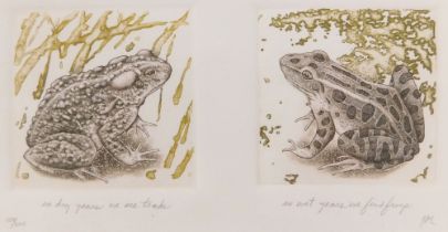 J.A.E. In dry years we see a toad, In wet years we find a frog, artist signed coloured etching,120/2