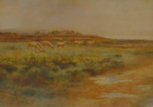 Arthur Stanley Wilkinson (c.1860-1930). Sheep grazing, watercolour, signed and dated (18)89, 35cm x