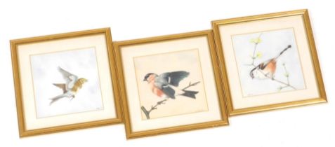 British School (Late 20thC). Three studies of finches and tits, watercolours, monogrammed and dated