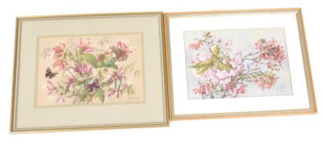 Grace Margaret Brough (British 20thC), Honeysuckle, Cherry Blossom, pair of watercolours, signed, 2