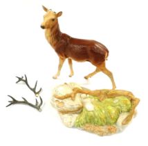 A Beswick Royal Doulton pottery figure of a deer stag, raised on a naturalistic base, matt glazed, p