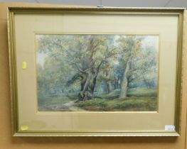A watercolour of a woodland scene, framed and glazed.