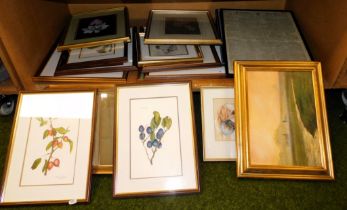 Pictures and prints, a quantity of gilt framed prints and a gilt framed mirror.