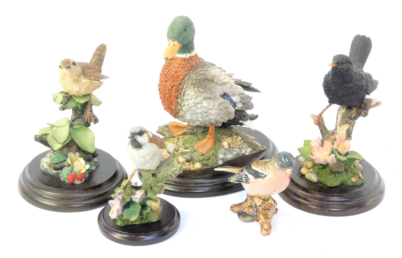 Four Country Artist bird figures, comprising Broadway Blackbird CA569, Sparrow with ivy leaved toadf