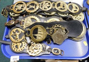 A group of horse brasses, to include Lincolnshire curly coated pig, Bakewell, and others. (1 tray)