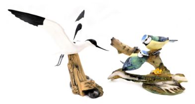 Two Coalport bird groups, comprising The British Birds Blue Tit, number 720/750, 13cm high, and an R